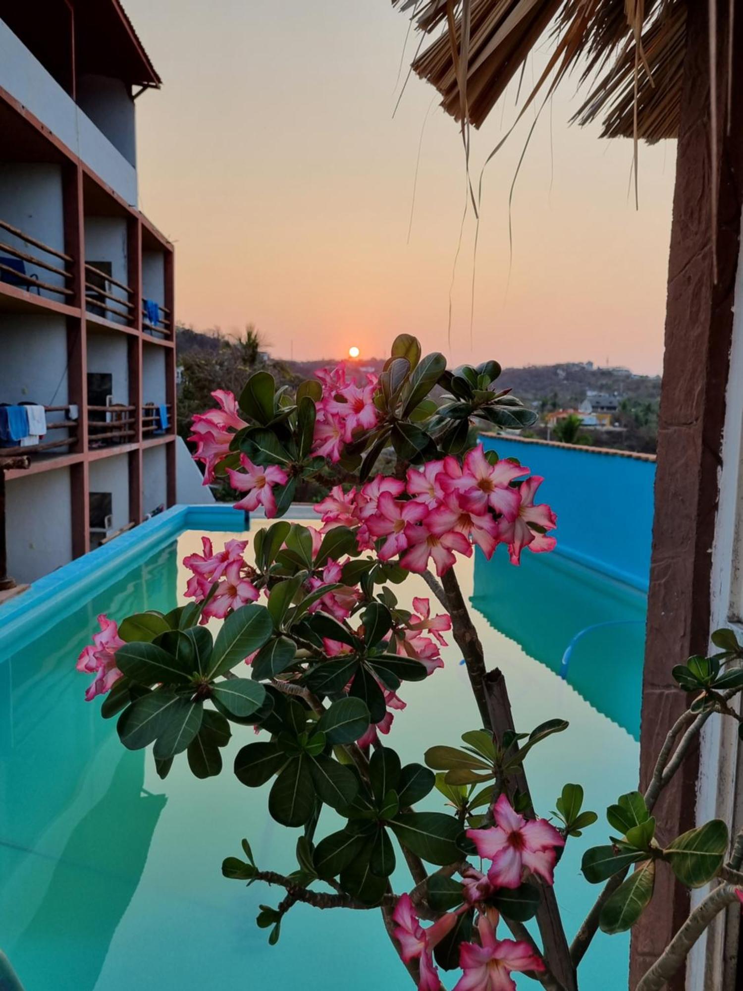 Namaste Zipolite Suites Exterior photo